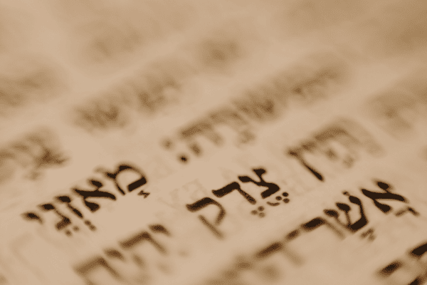 Habilidades y competencia